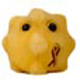 Hepatitis
