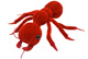 Rote Ameise
