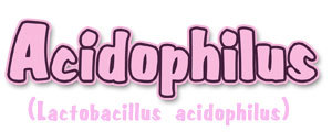 Acidophilus