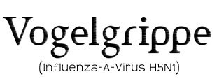 Vogelgrippe