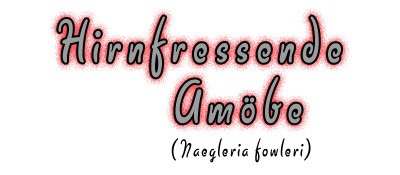 Hirnfressende Amöbe