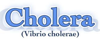 Cholera