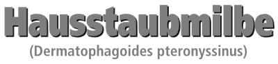 Hausstaubmilbe