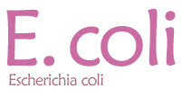 E. Coli