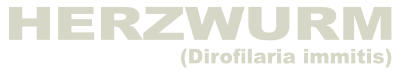 Herzwurm