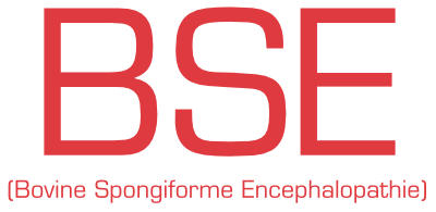 BSE