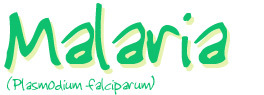 Malaria