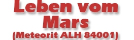 Leben vom Mars