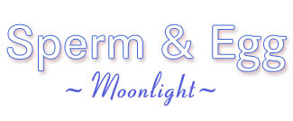 Panorama "Moonlight"