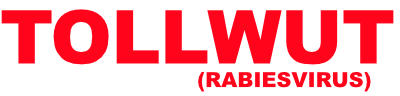 Tollwut
