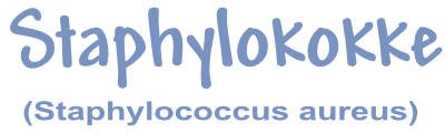 Staphylokokke
