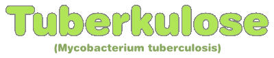 Tuberkulose